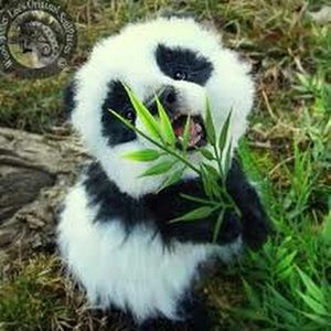 Meet your Posher, Yummy